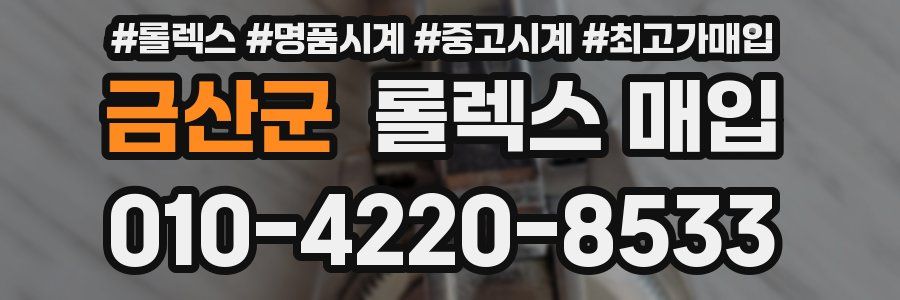 금산군 롤렉스 매입