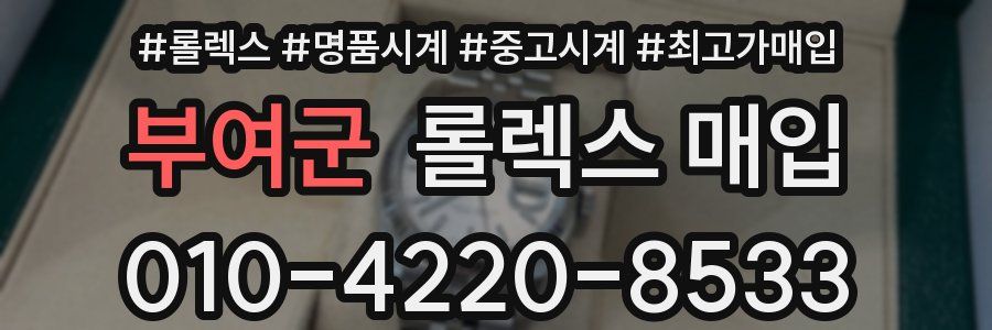 부여군 롤렉스 매입