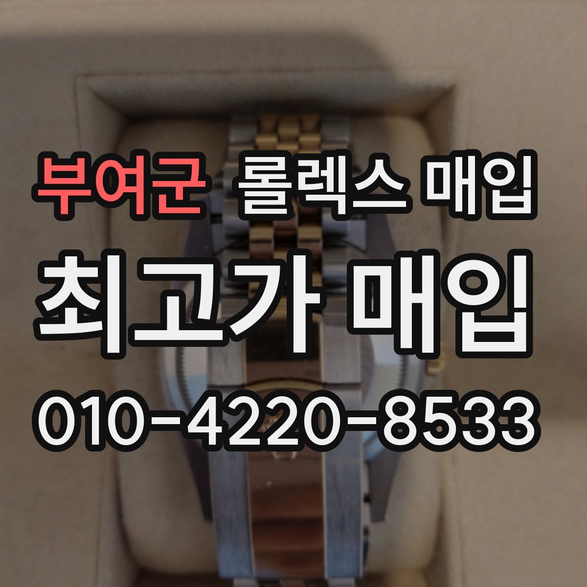부여군 롤렉스 매입