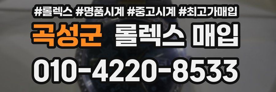 곡성군 롤렉스 매입