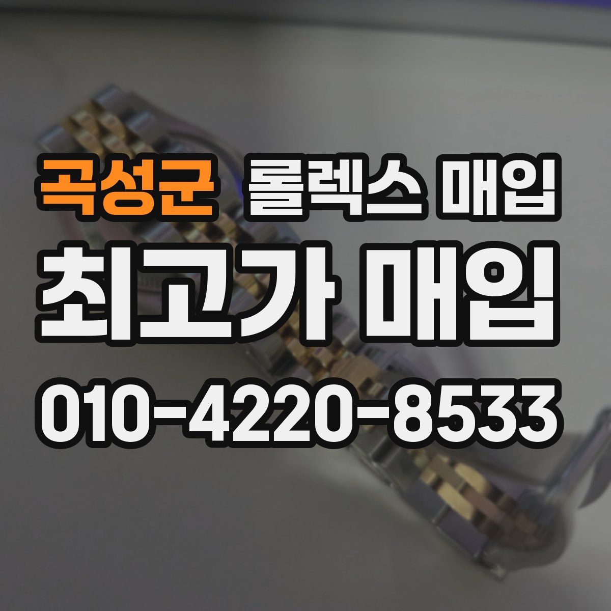 곡성군 롤렉스 매입