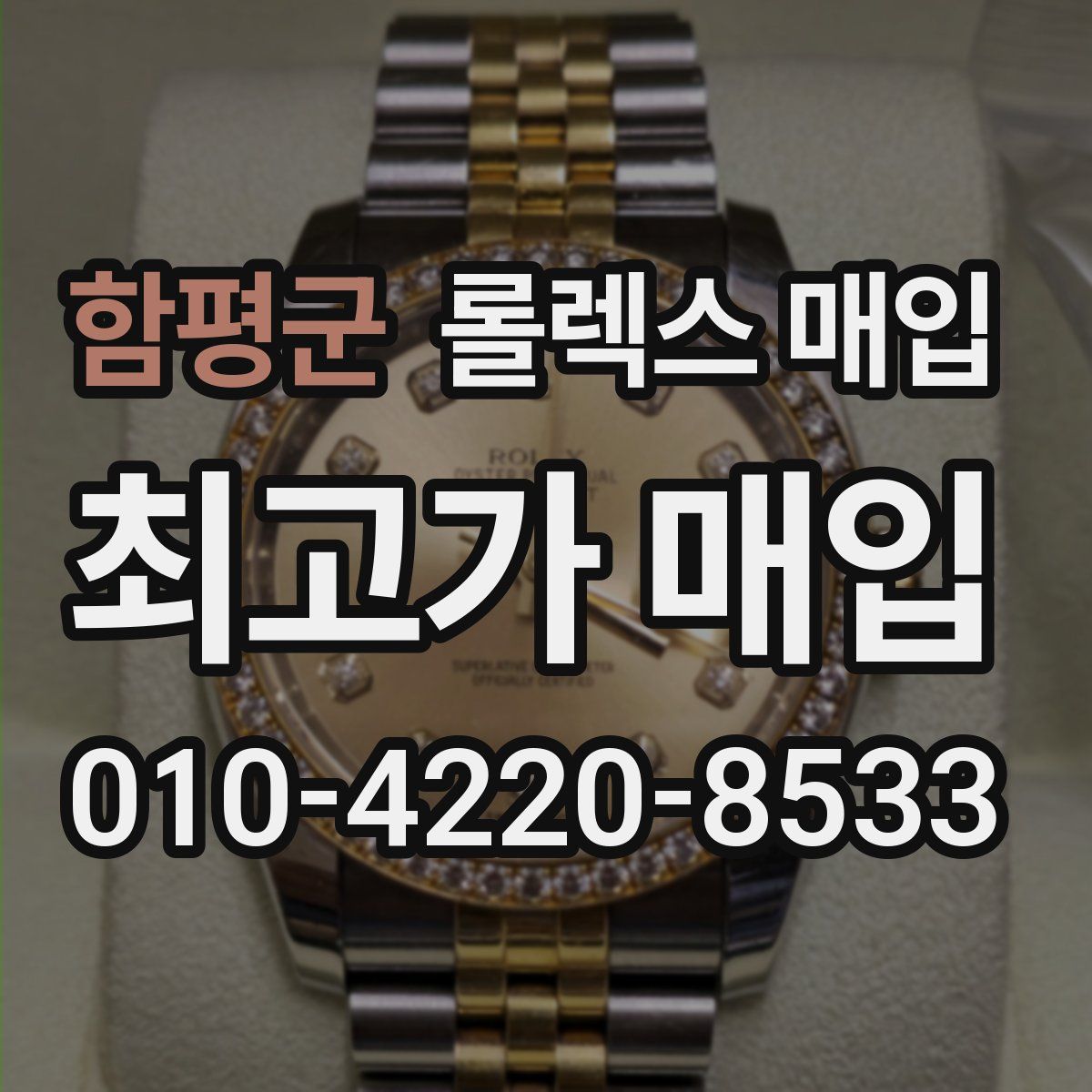 함평군 롤렉스 매입