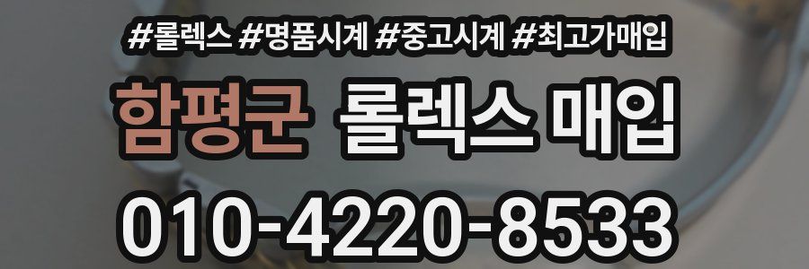 함평군 롤렉스 매입