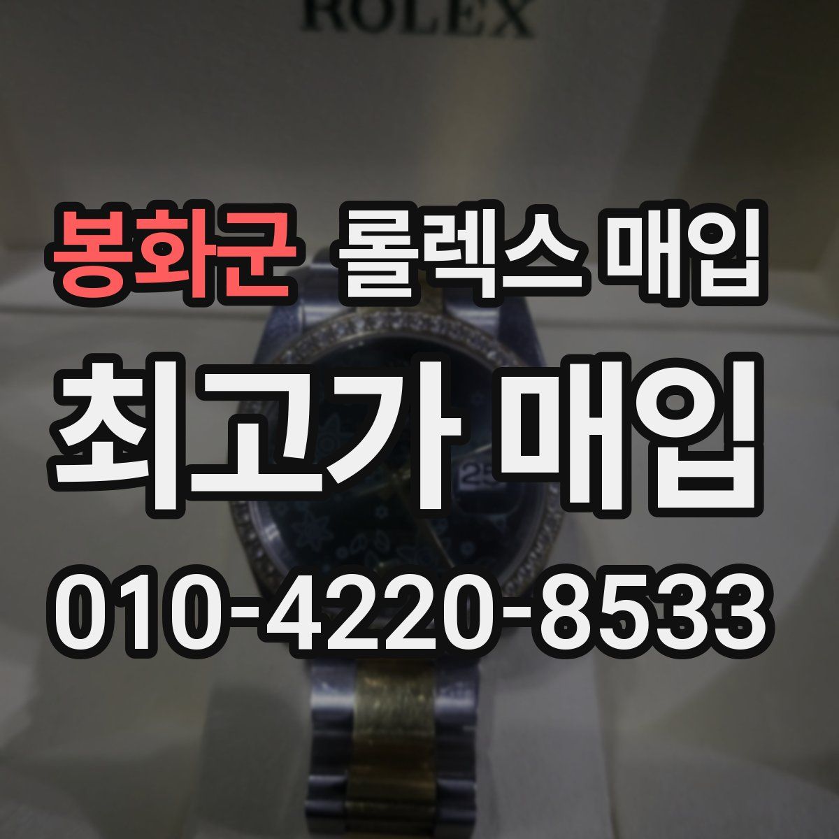 봉화군 롤렉스 매입