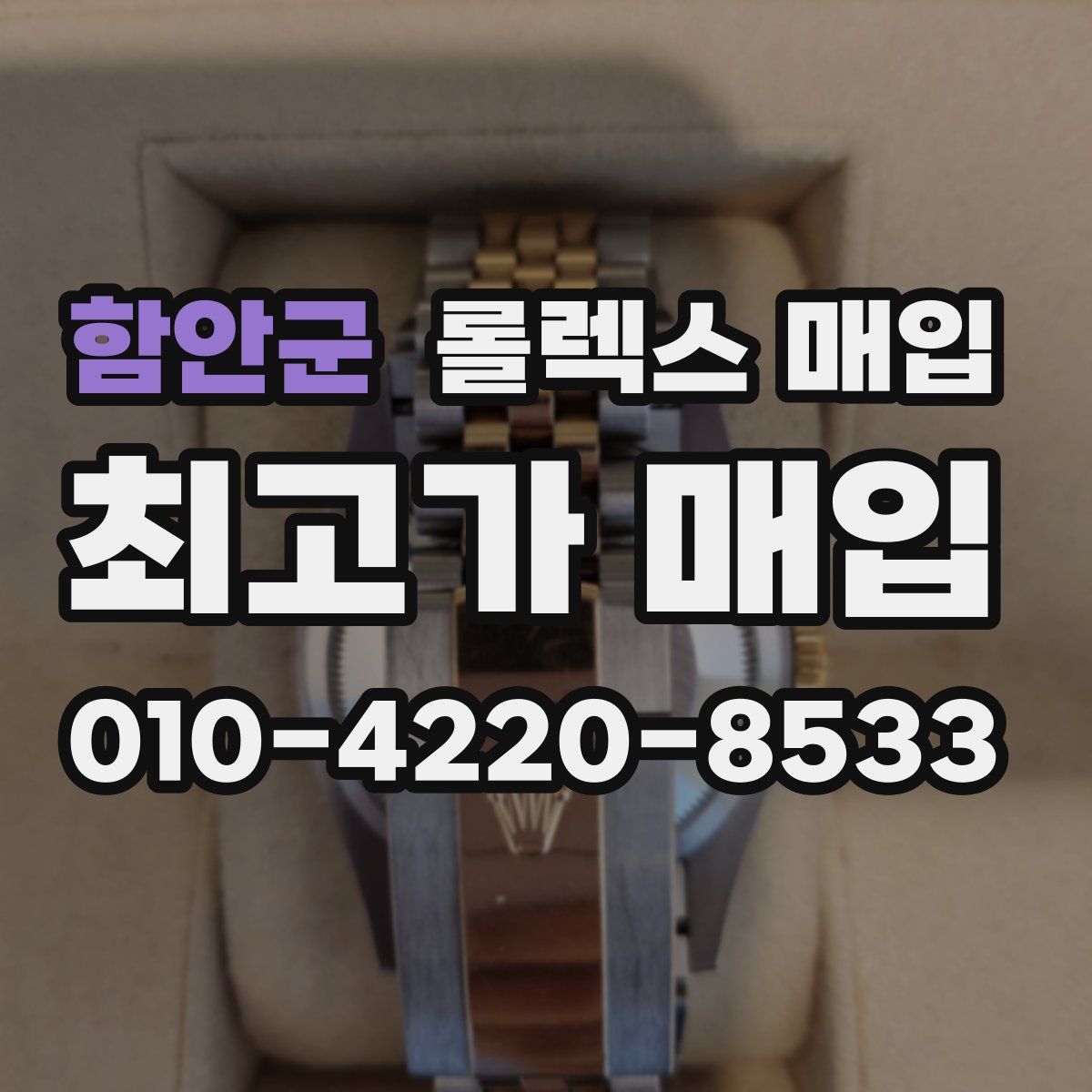 함안군 롤렉스 매입