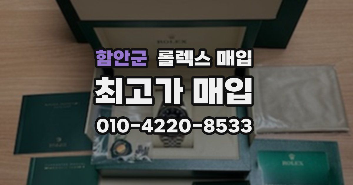 함안군 롤렉스 매입