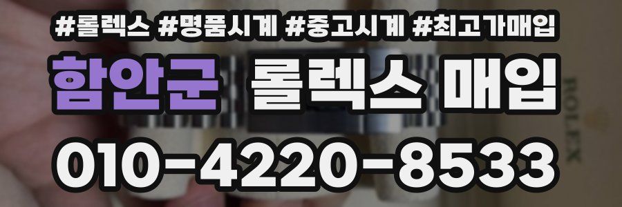 함안군 롤렉스 매입