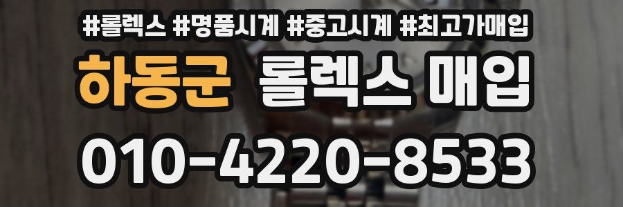 하동군 롤렉스 매입