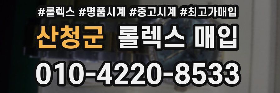 산청군 롤렉스 매입