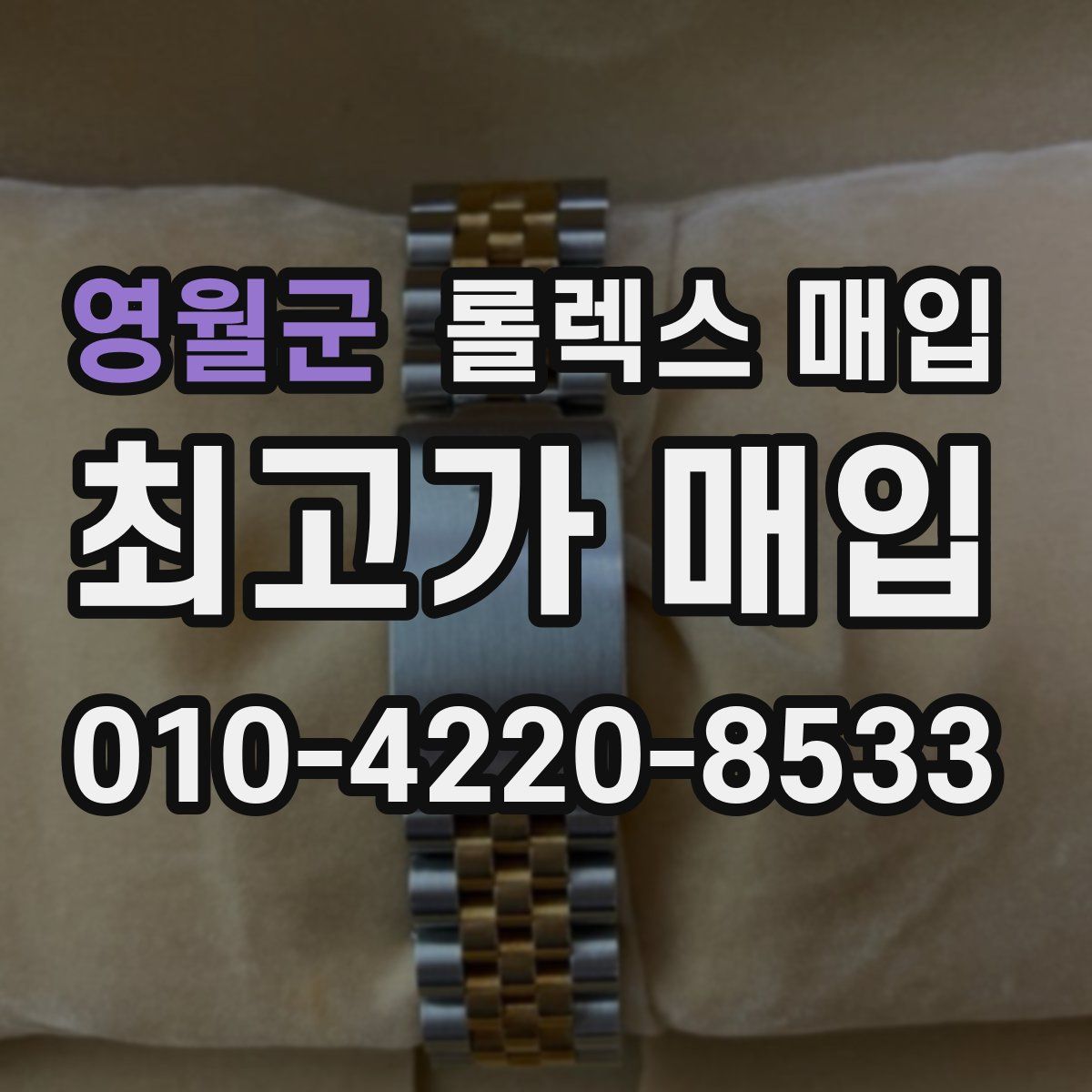 영월군 롤렉스 매입