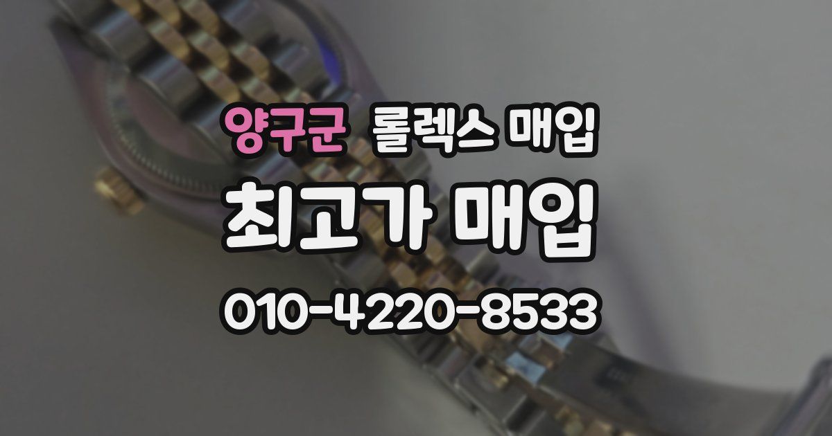 양구군 롤렉스 매입