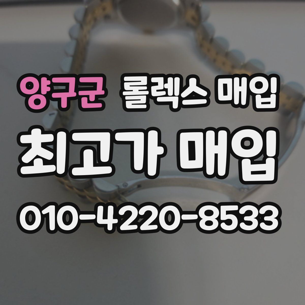 양구군 롤렉스 매입