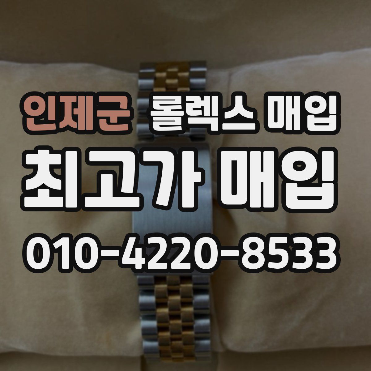 인제군 롤렉스 매입