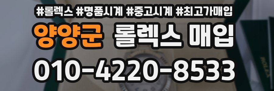 양양군 롤렉스 매입