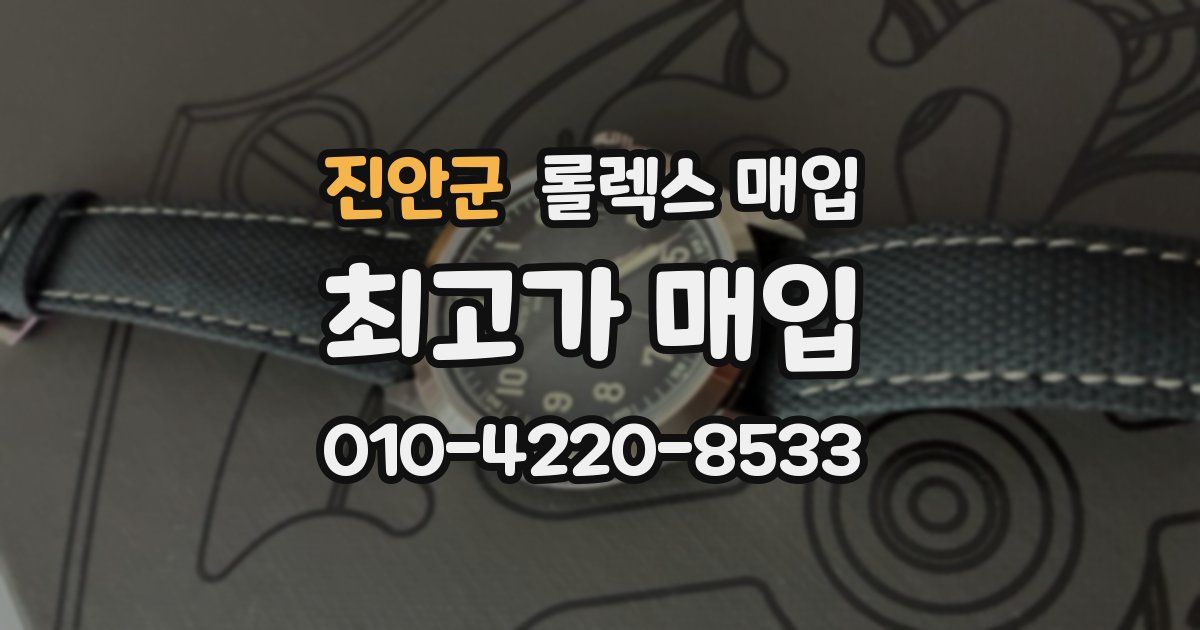 진안군 롤렉스 매입