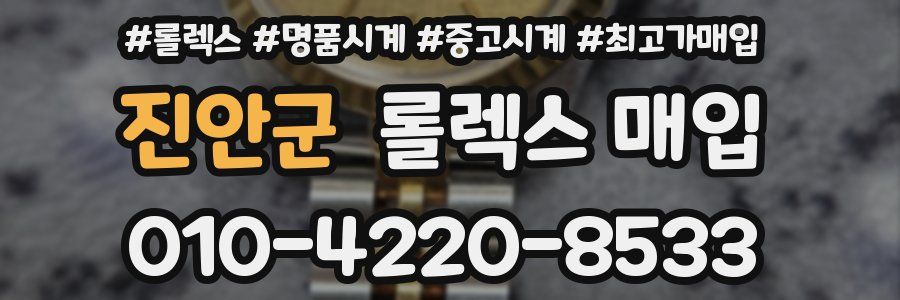 진안군 롤렉스 매입