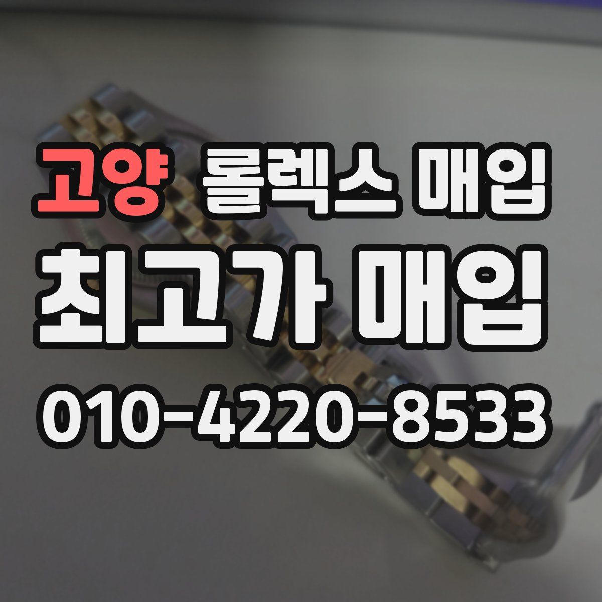 고양 롤렉스 매입