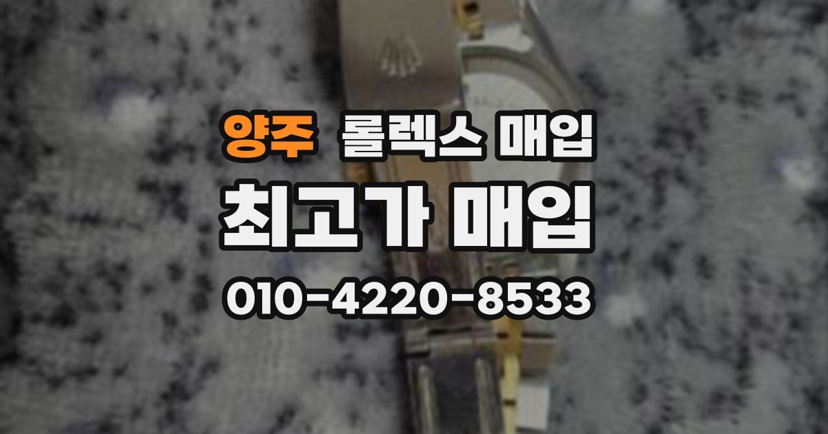 양주 롤렉스 매입