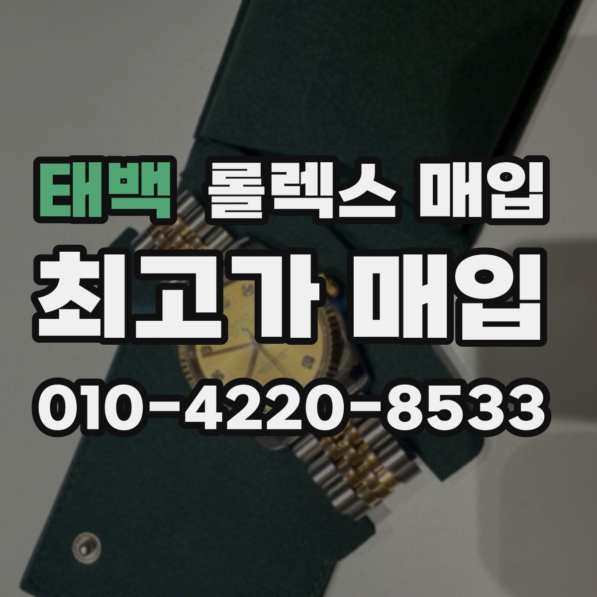 태백 롤렉스 매입