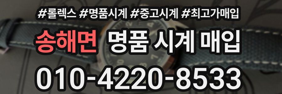 송해면 명품 시계 매입