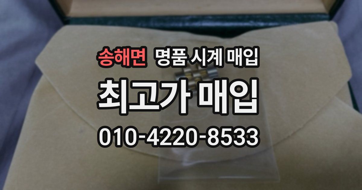 송해면 명품 시계 매입