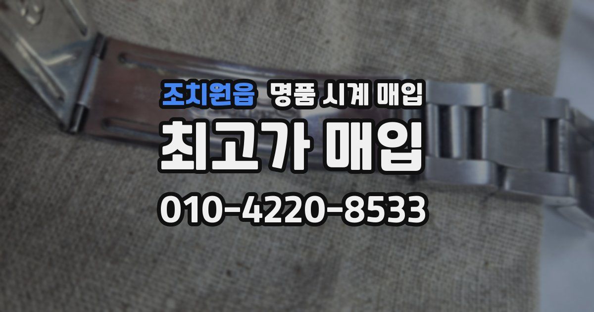 조치원읍 명품 시계 매입