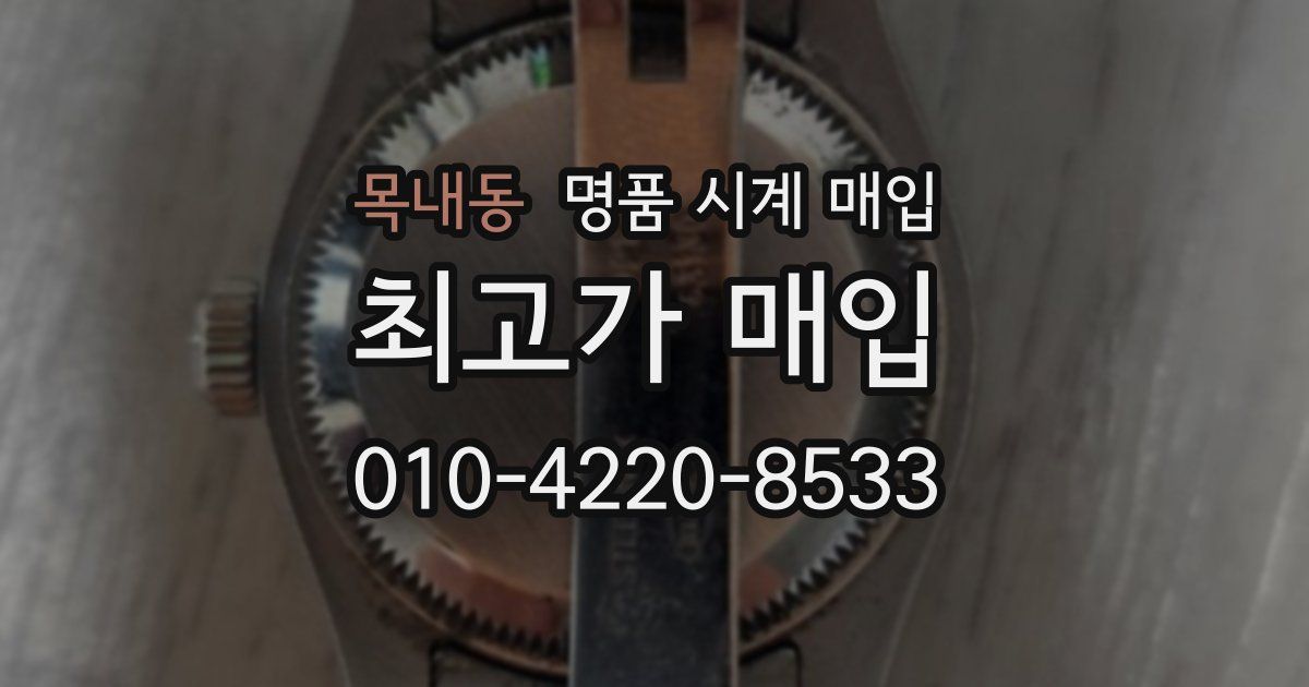 목내동 명품 시계 매입
