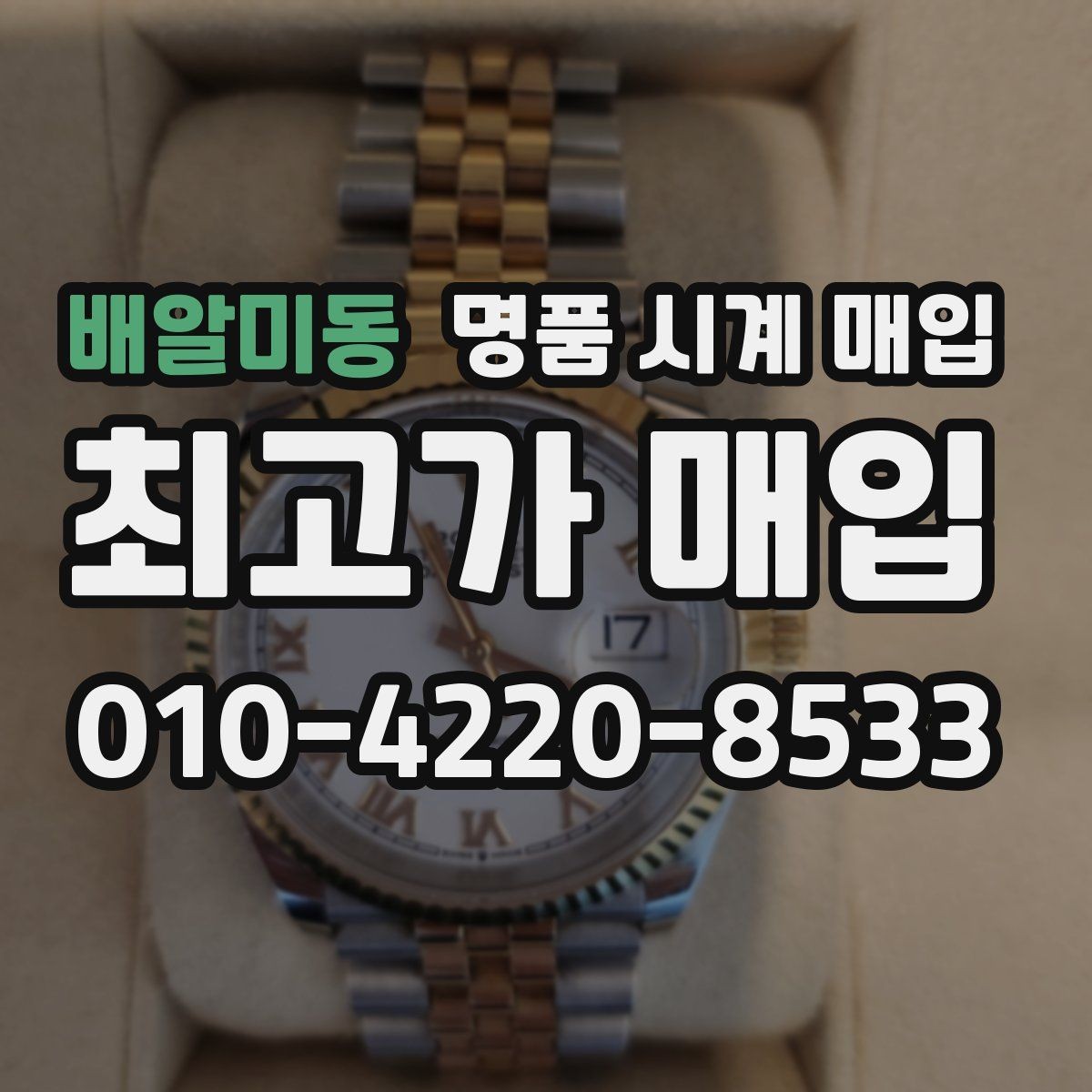 배알미동 명품 시계 매입 오메가 콤비 라인 시세 포인트 정리