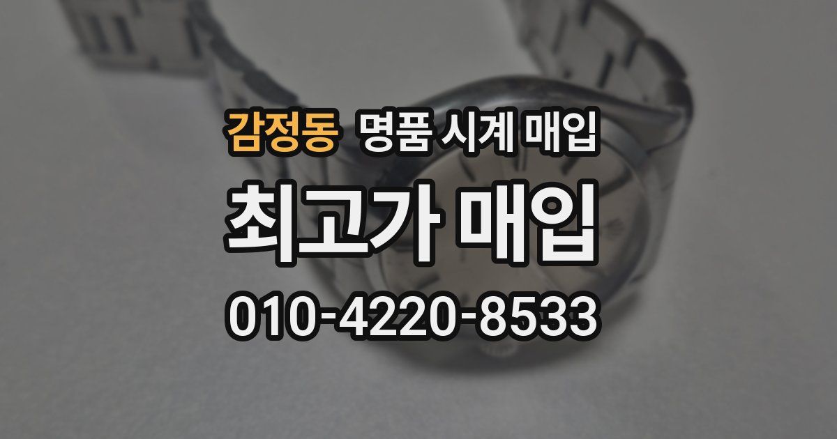 감정동 명품 시계 매입