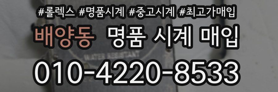 배양동 명품 시계 매입