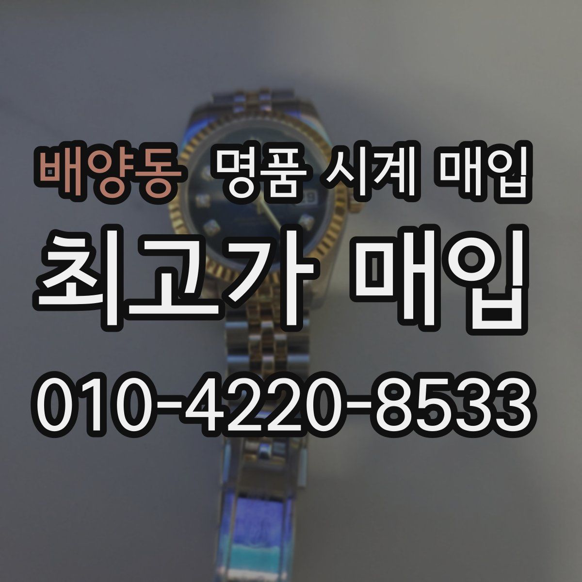 배양동 명품 시계 매입