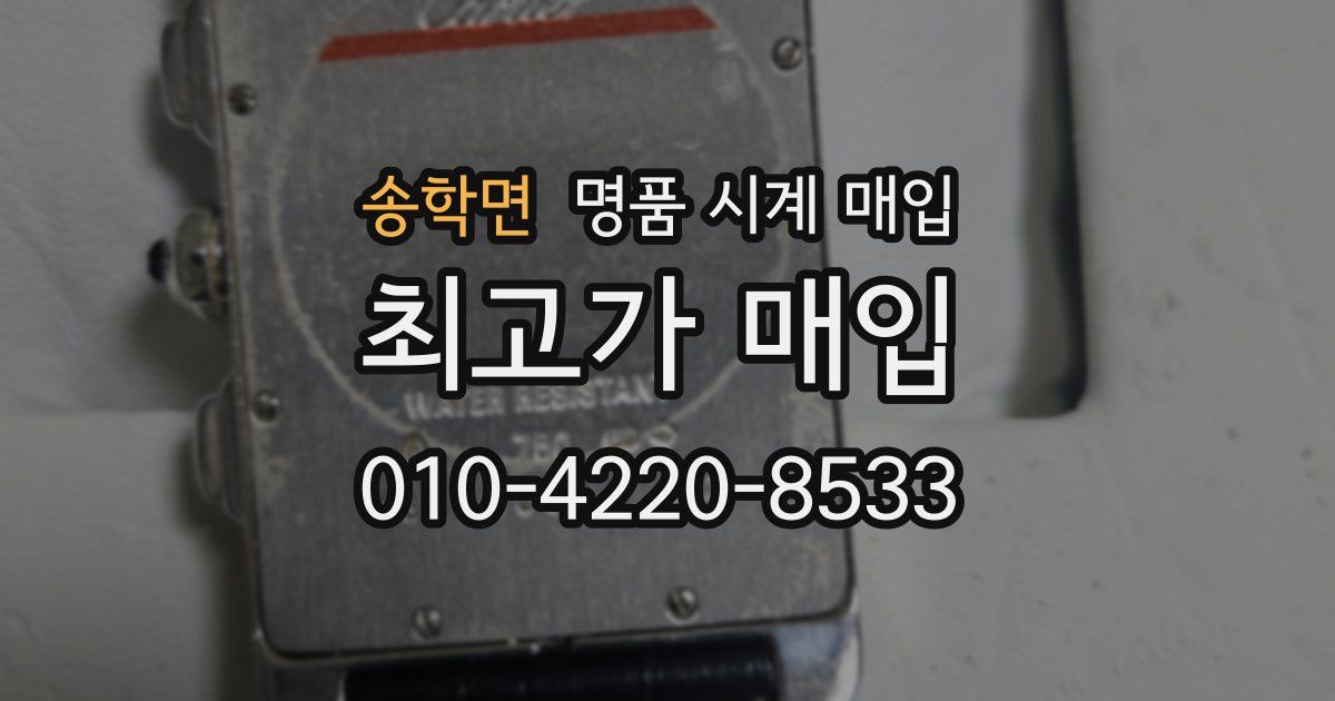 송학면 명품 시계 매입