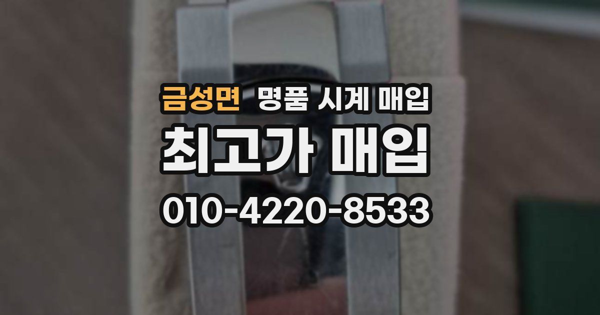 금성면 명품 시계 매입