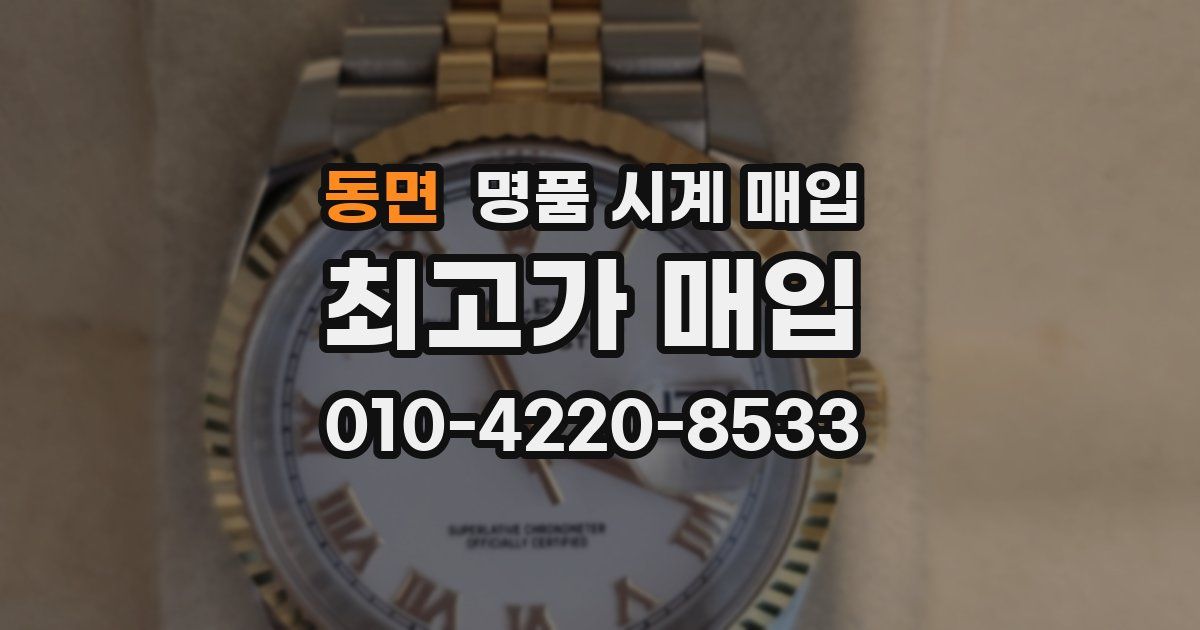동면 명품 시계 매입