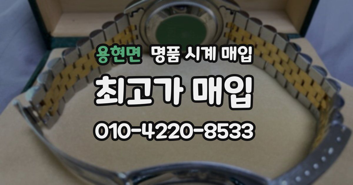 용현면 명품 시계 매입