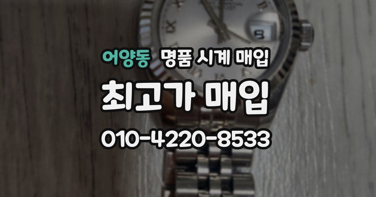 어양동 명품 시계 매입