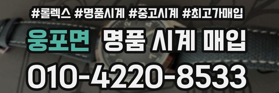 웅포면 명품 시계 매입