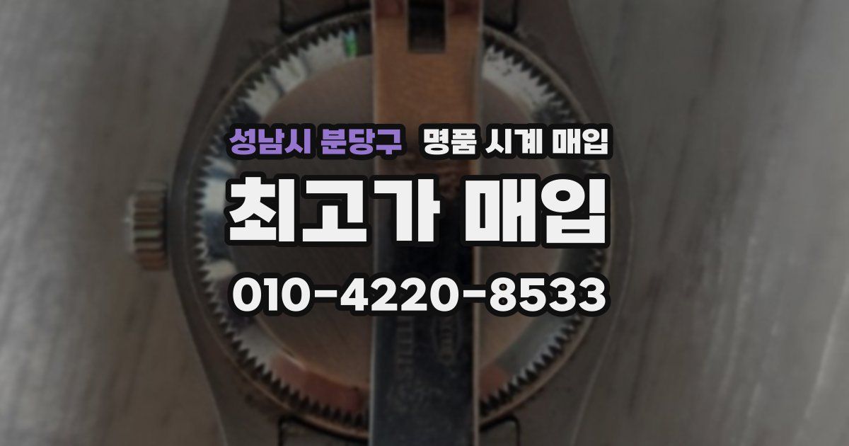 성남시 분당구 명품 시계 매입