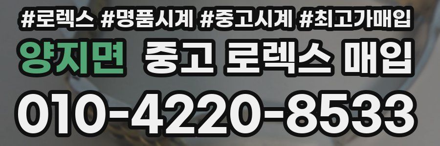 양지면 중고 로렉스 매입