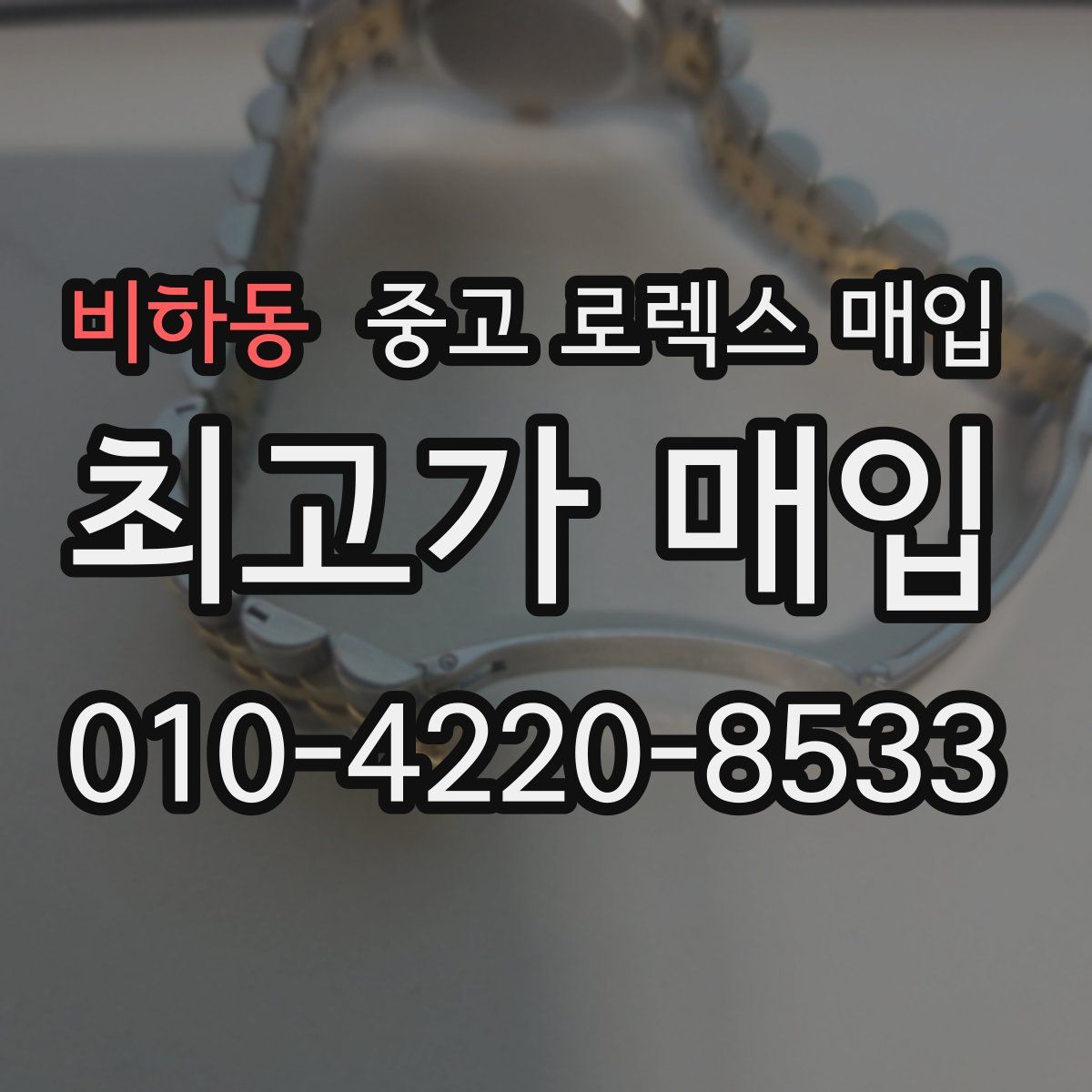 비하동 중고 로렉스 매입