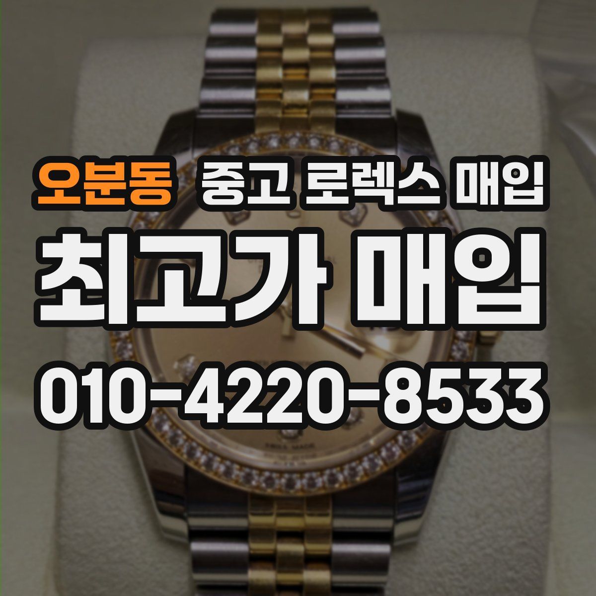 오분동 중고 로렉스 매입