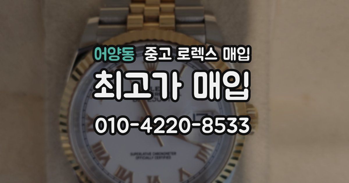 어양동 중고 로렉스 매입