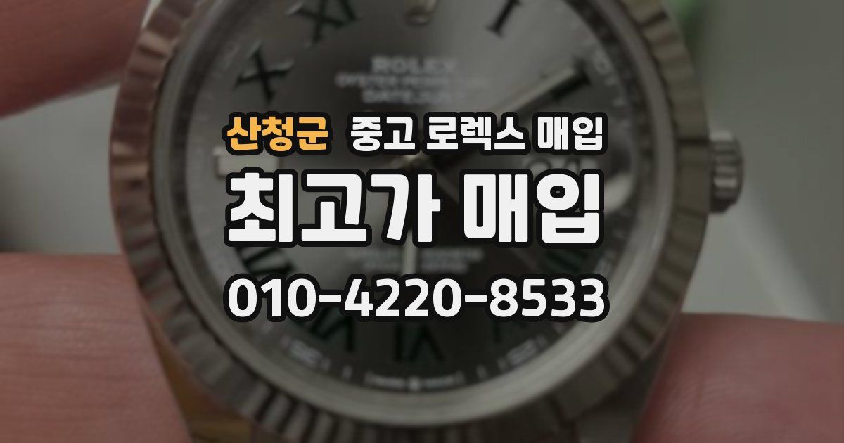 산청군 중고 로렉스 매입