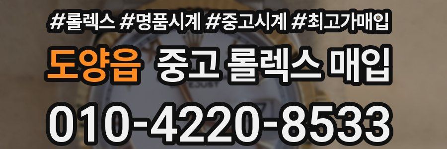 도양읍 중고 롤렉스 매입