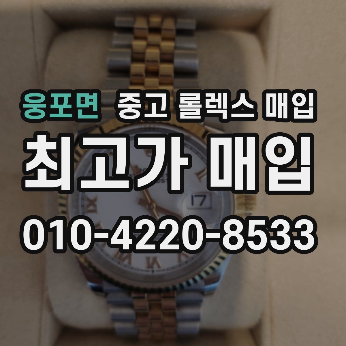 웅포면 중고 롤렉스 매입 레퍼런스 번호로 정확히 조회하는 방법