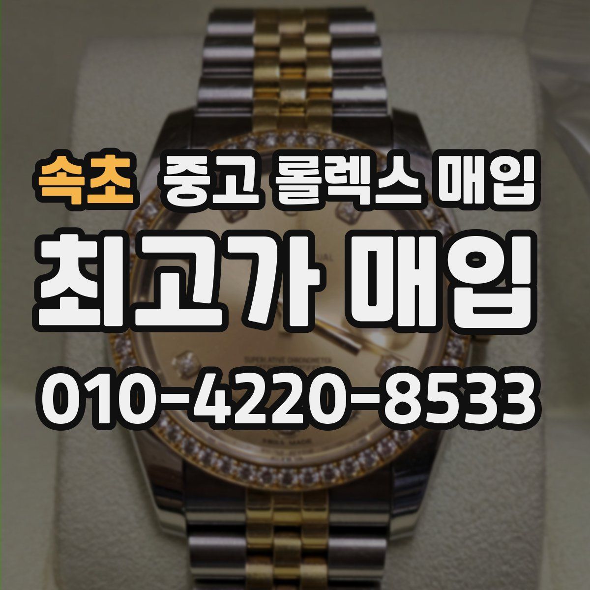 속초 중고 롤렉스 매입