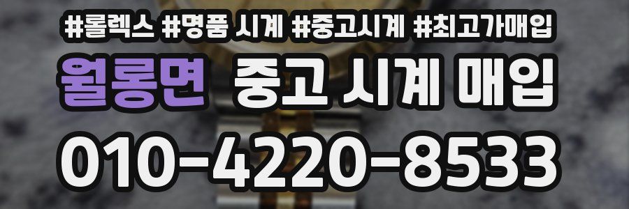 월롱면 중고 시계 매입