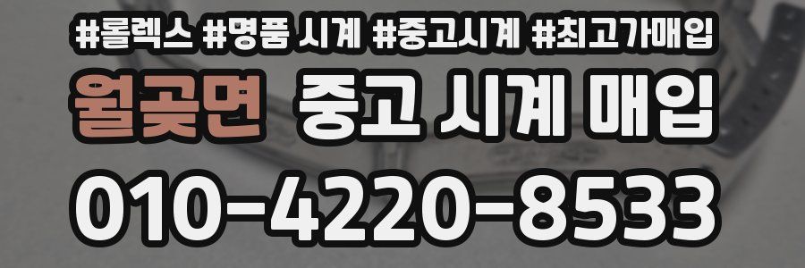 월곶면 중고 시계 매입