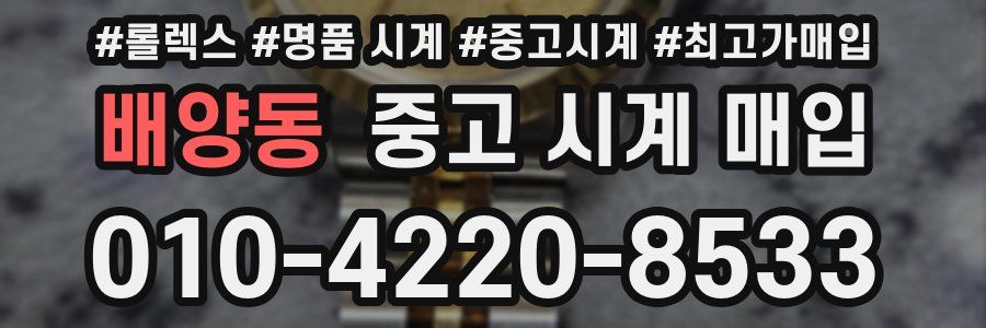 배양동 중고 시계 매입