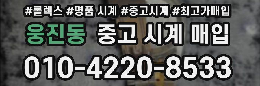 웅진동 중고 시계 매입